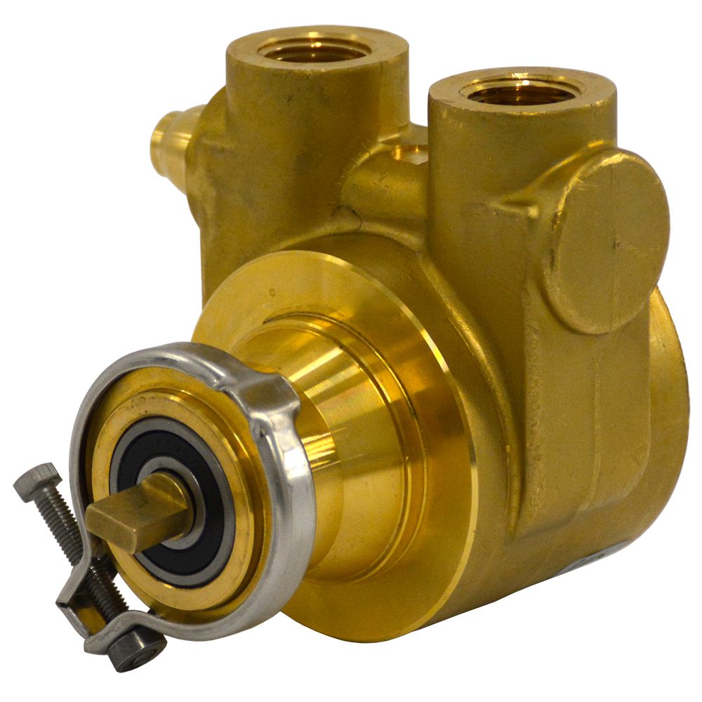 Fluid-o-Tech, Fluid-o-Tech Lead Free Brass Rotary Vane Pump with Brass Key 250 gph 1/2" NPT