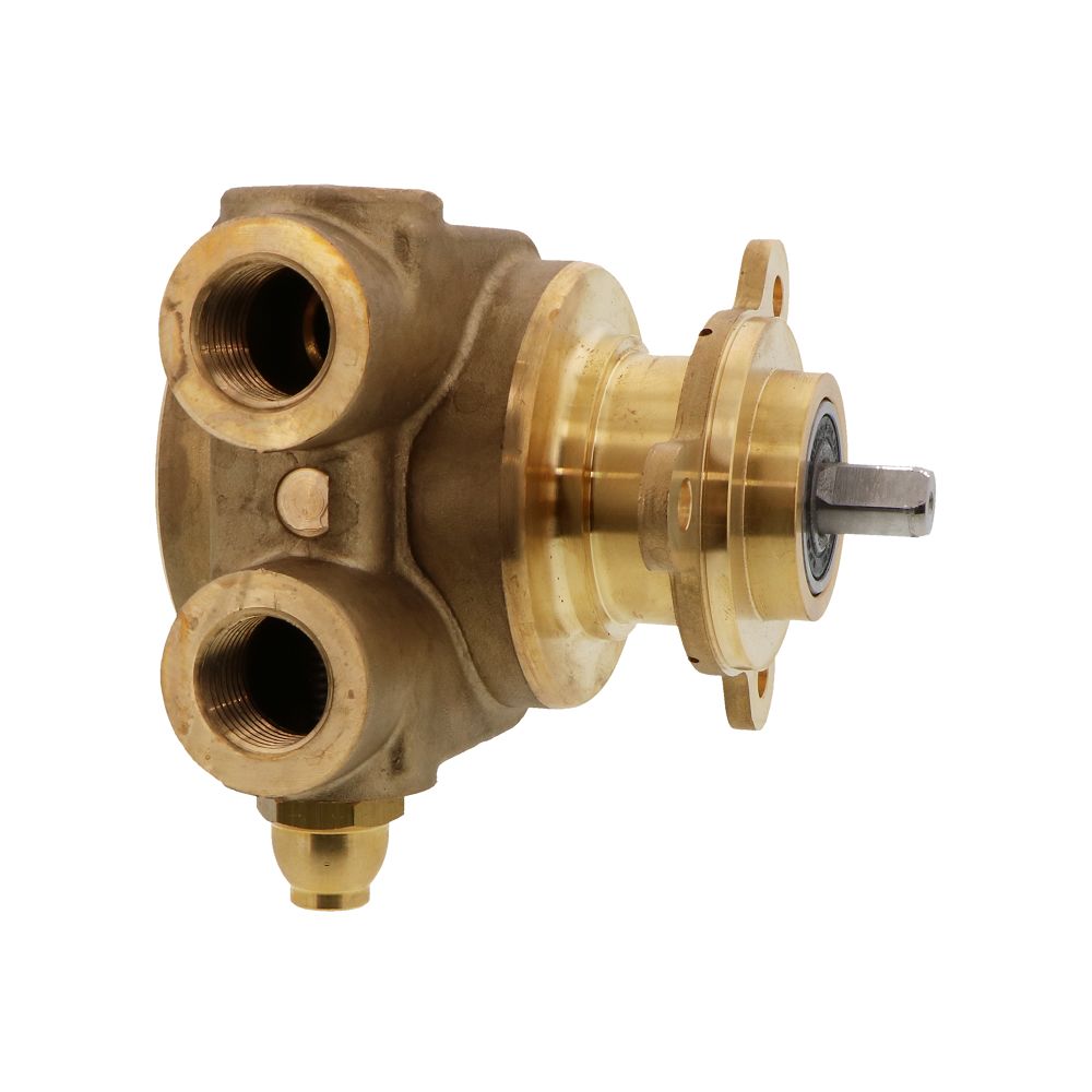 Fluid-o-Tech, Fluid-o-Tech PB801 Lead Free Brass Rotary Vane Pump 250 gph 1/2" NPT